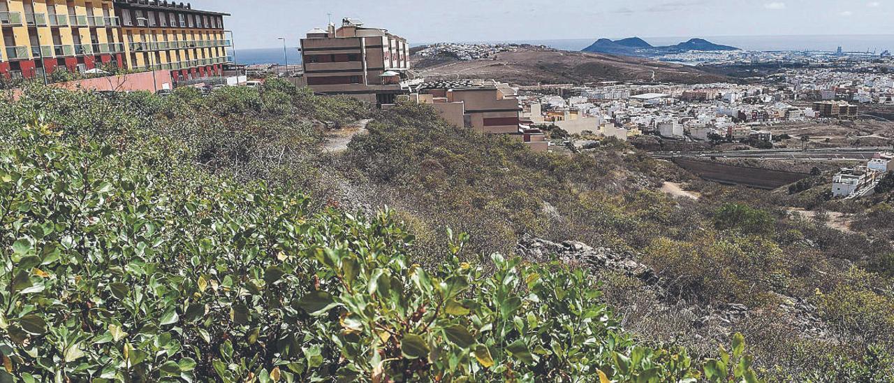 Vista panorámica del barranco donde los vecinos de Ciudad del Campo han propuesto al Ayuntamiento un parque urbano que alcance los barrios de Piletas e Isla Perdida.