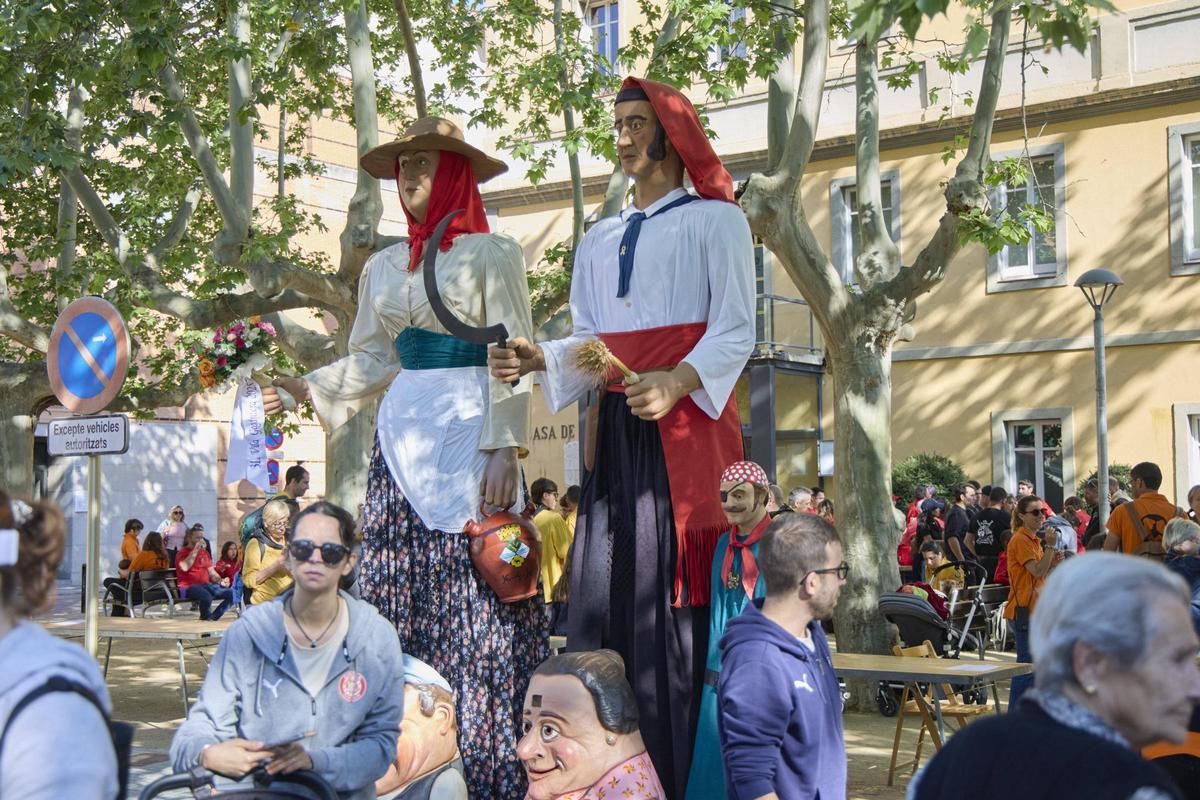 Plantada de gegants a l'Ajuntament de Salt