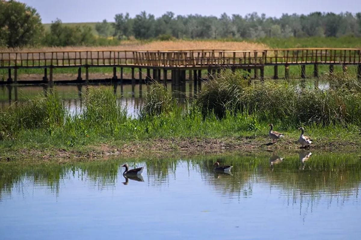 Un sector del Parque Nacional de las Tablas de Daimiel (Ciudad Real).