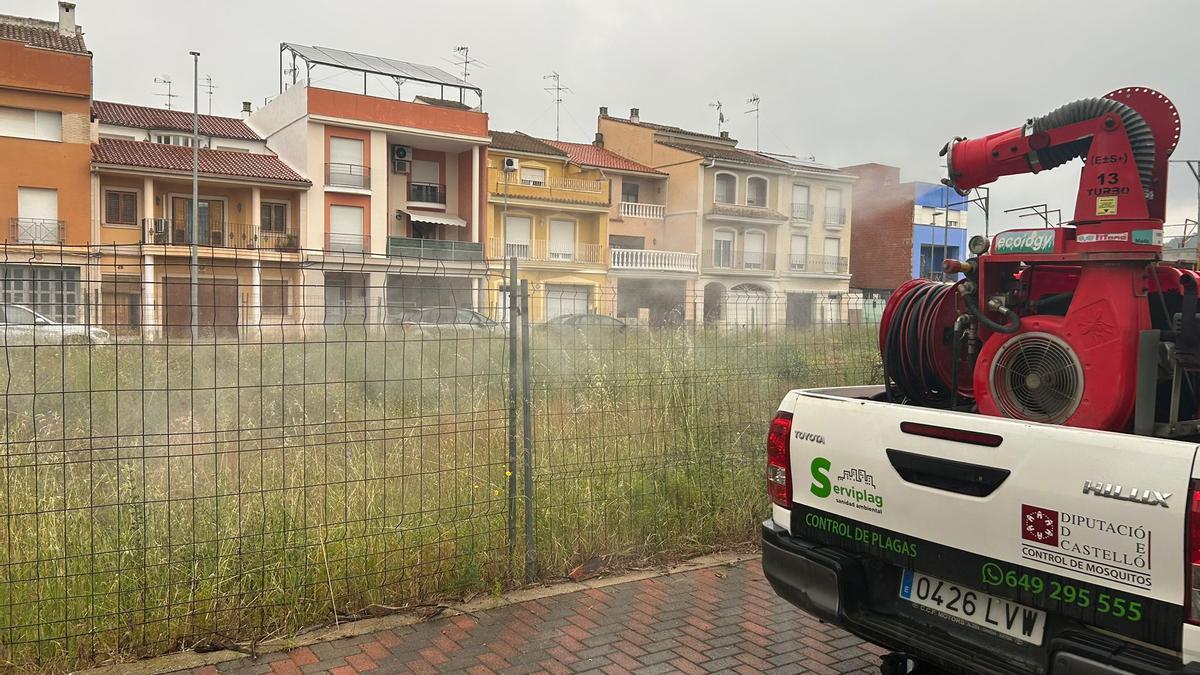 Fumigaciones contra el mosquito tigre en Carcaixent.