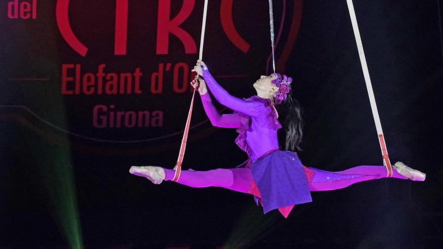 Un espectacle del Festival de Circ Elefant d&#039;Or.