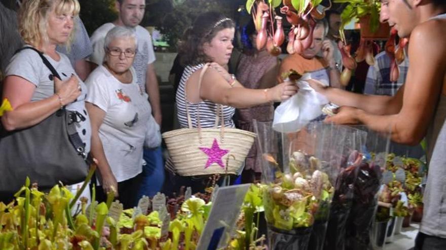 Una gran cantidad de vecinos y visitantes salieron a la calle para disfrutar de los distintos actos preparados durante la noche.