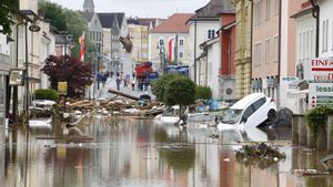 La meitat de la vida del planeta, en «risc elevat» per la crisi climàtica