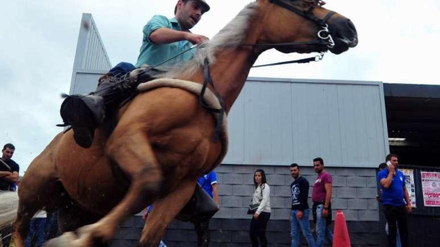 Un participante en la edición anterior de la Feira do Cabalo. // I. Abella