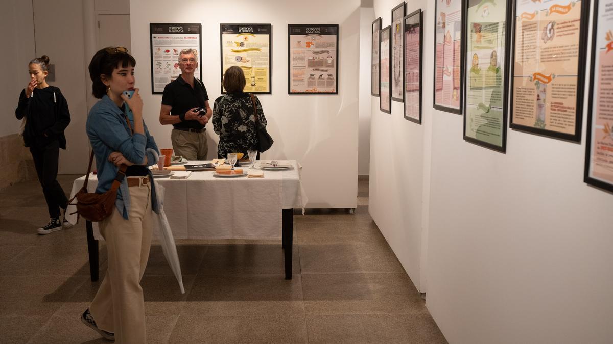 Público en el rincón delicado a  Alimentos de Zamora