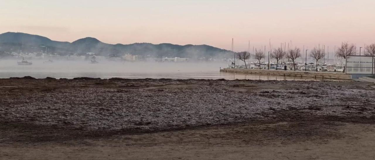 Posidonia escarchada en Sant Antoni | M. J. TORRES