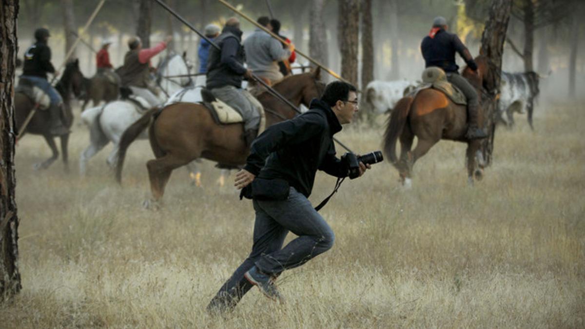 El fotógrafo Pedro Armestre, de AFP, durante el festejo del toro de la Vega, en Tordesillas, donde ha sido corneado, este martes.