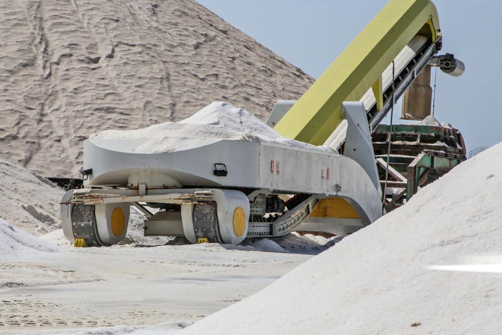 En torno a medio centenar de turistas estrenaron las visitas guiadas a las salinas de Torrevieja, que pretenden normalizarse el verano que viene