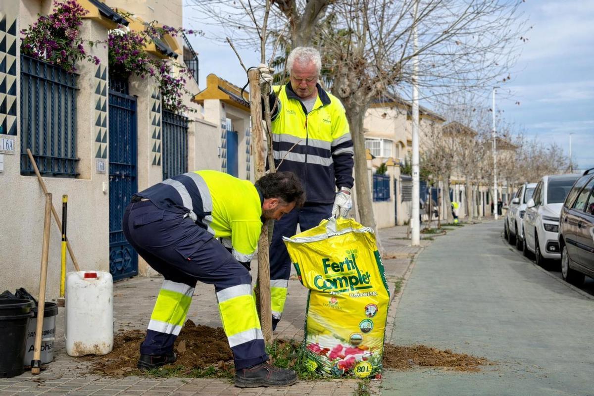 Durante los últimos días, los equipos especializados de la compañía han intervenido en ambas vías con el objetivo de incrementar las zonas de sombra.