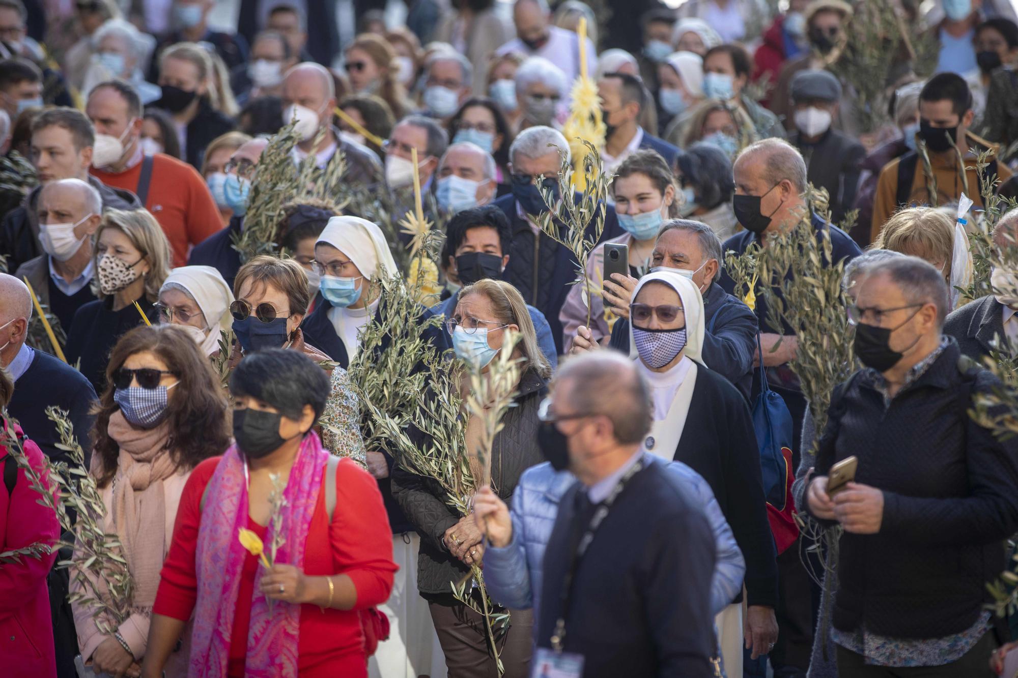 Un millar de personas participan en la fiesta del Ram en la Catedral