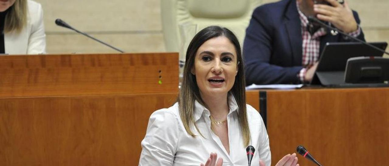 La portavoz socialista, Lara Garlito, en la tribuna de la Asamblea.