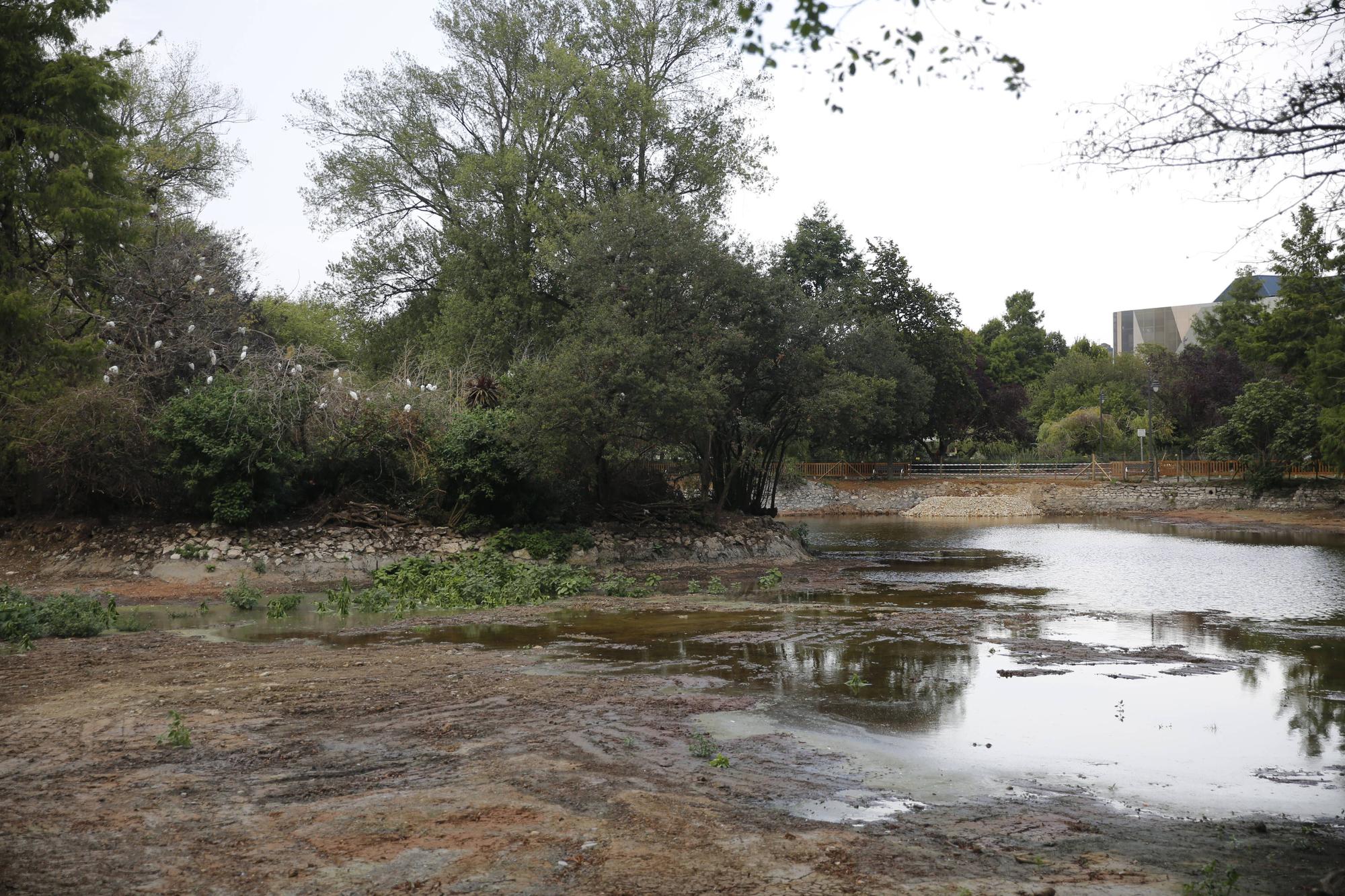 La laguna grande del parque de Isabel la Católica, con agua de lluvia (en imágenes)