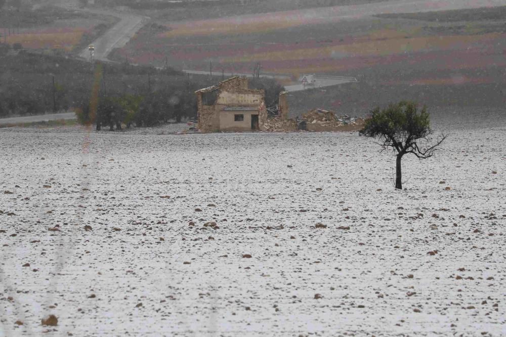 Nieve en Coy, Lorca