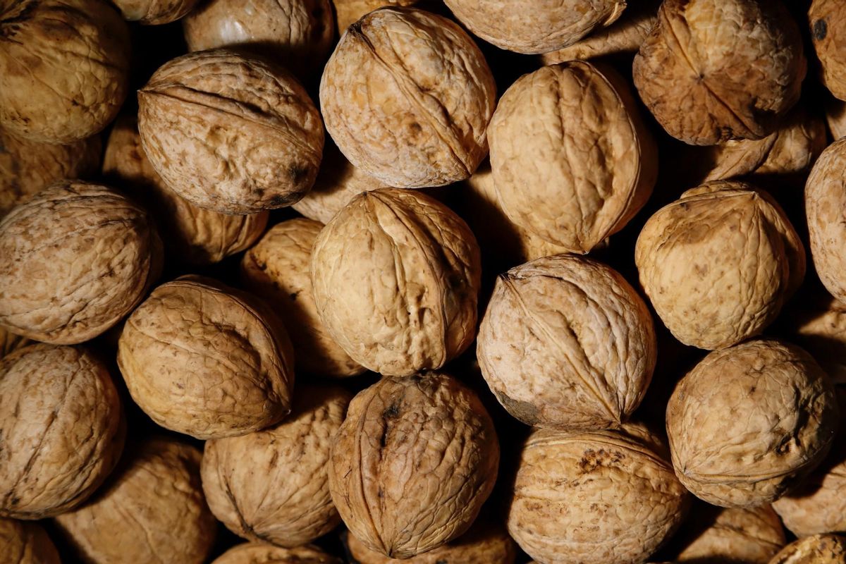 Las nueces son un superalimento por su alto contenido nutricional.