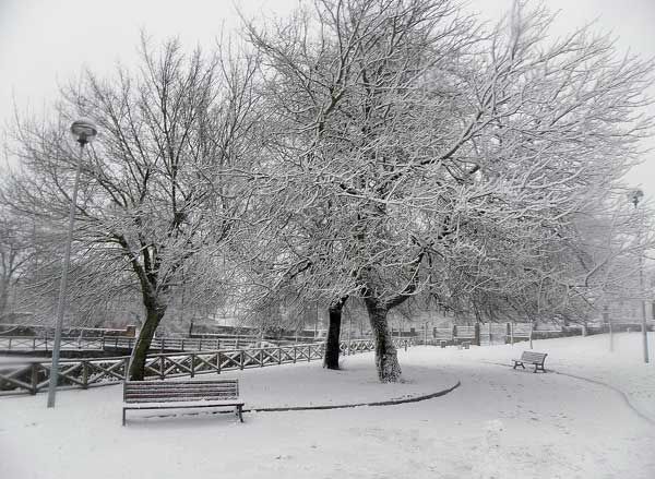 Fotos de nuestros lectores de la gran nevada