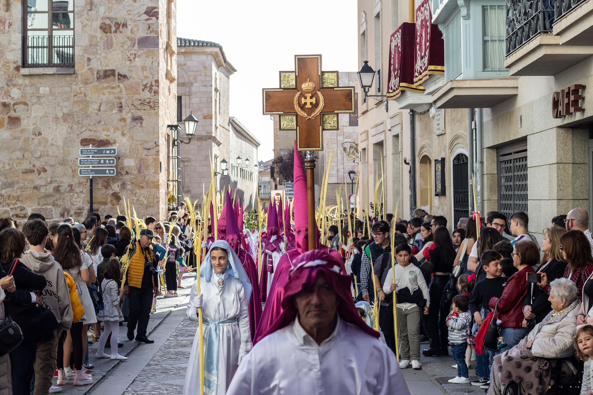 ZAMORA.DOMINGO DE RAMOS