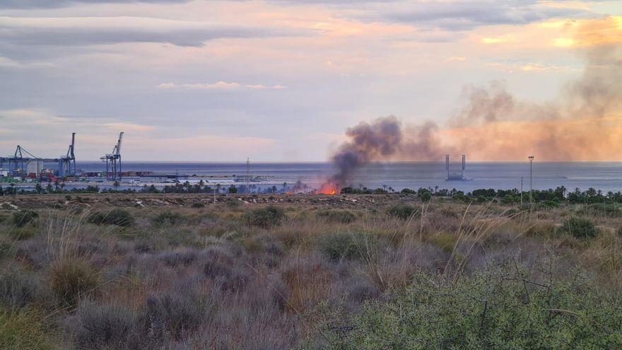 Fuego en el parque de El Palmeral en San Gabriel