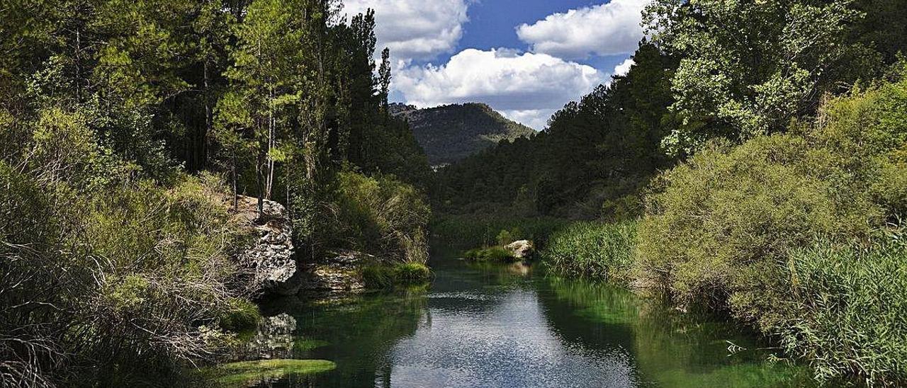 Imagen que presenta estos días el cauce del río Tajo tras las lluvias de esta primavera.