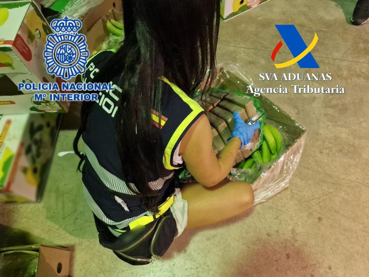 Una policía con parte del alijo de cinco toneladas de cocaína incautadas en Alicante en 2023, que iba oculta también en bananas.
