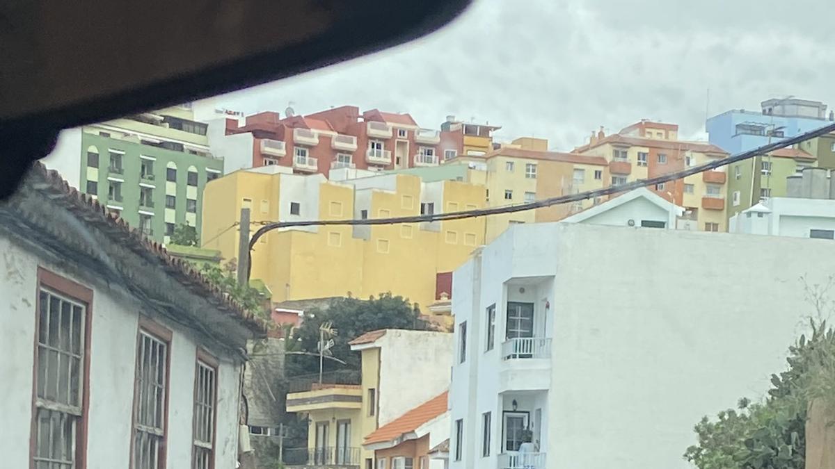 Rebaño de cabras en una carretera de Los Realejos.