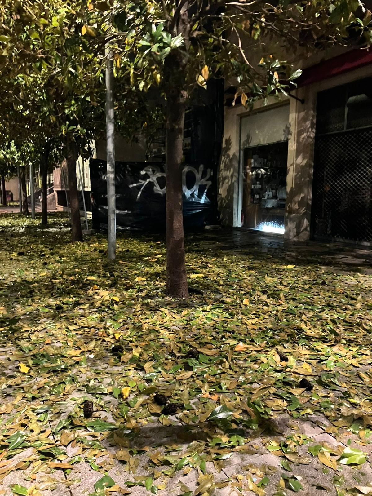 GALERÍA | Así fue en imágenes la tormenta de granizo en Zamora esta madrugada GALERÍA | Así fue en imágenes la tormenta de granizo en Zamora esta madrugada