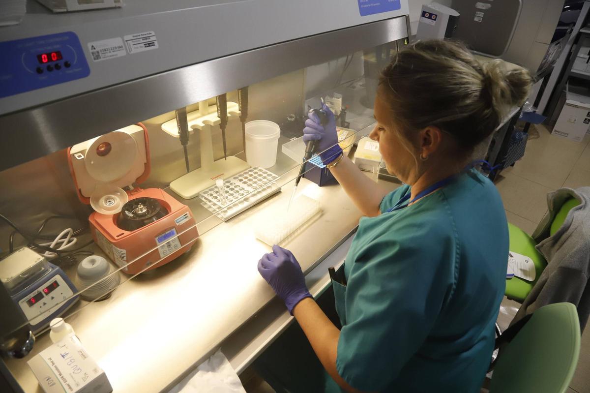 Unidad de Anatomía Patológica del hospital Reina Sofía.