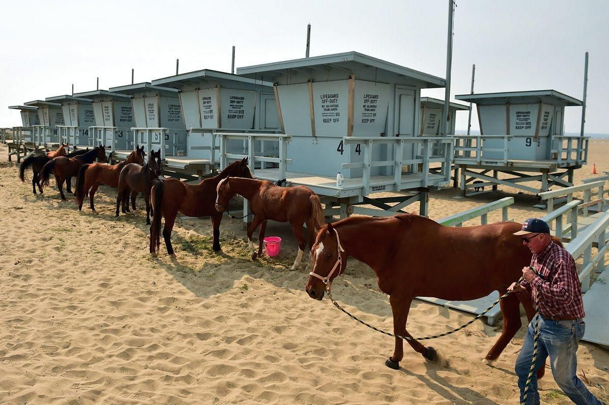 El devastador incendio de California en imágenes