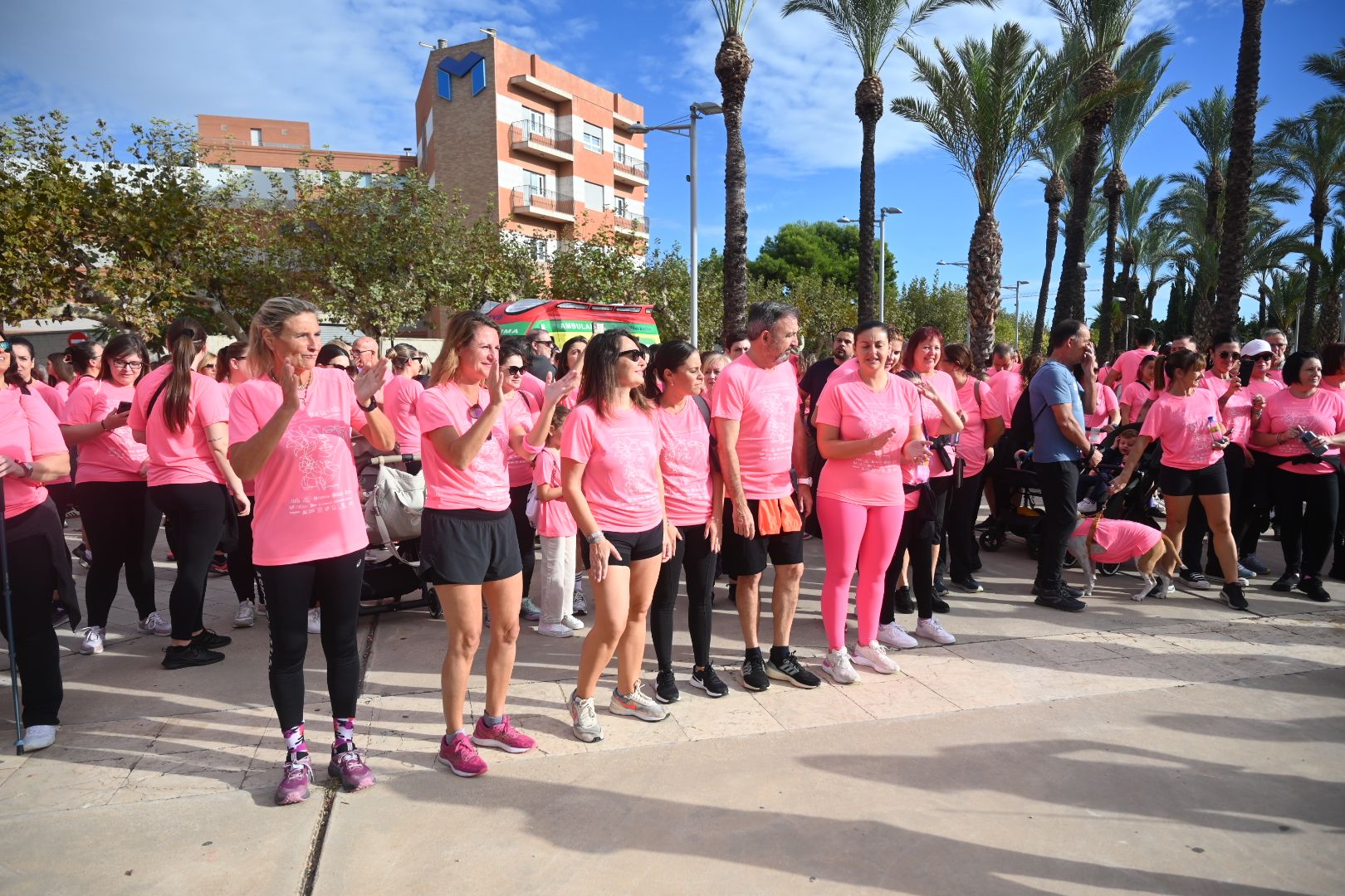 Galería de imágenes: Marcha solidaria contra el cáncer de mama 'Un Paseo por la Vida Castelló 2024'