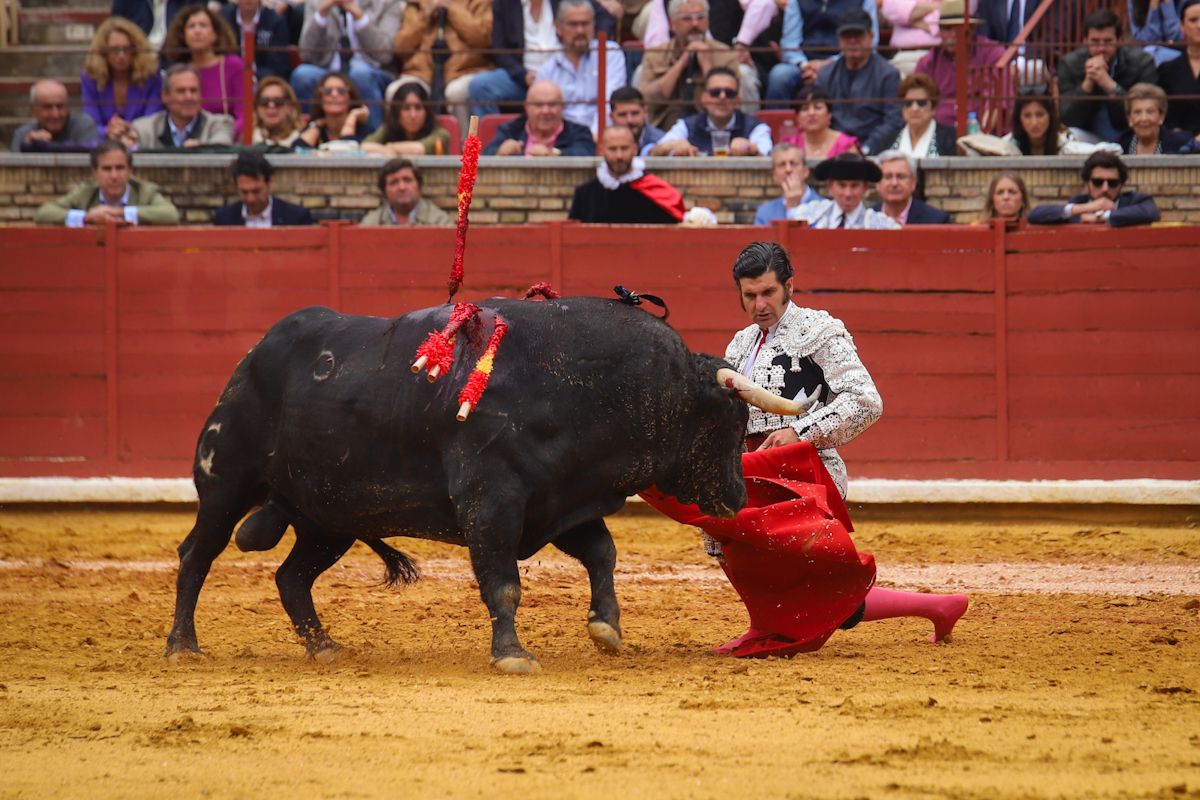 Roca Rey abre la puesta de los Califas tras cortar tres orejas