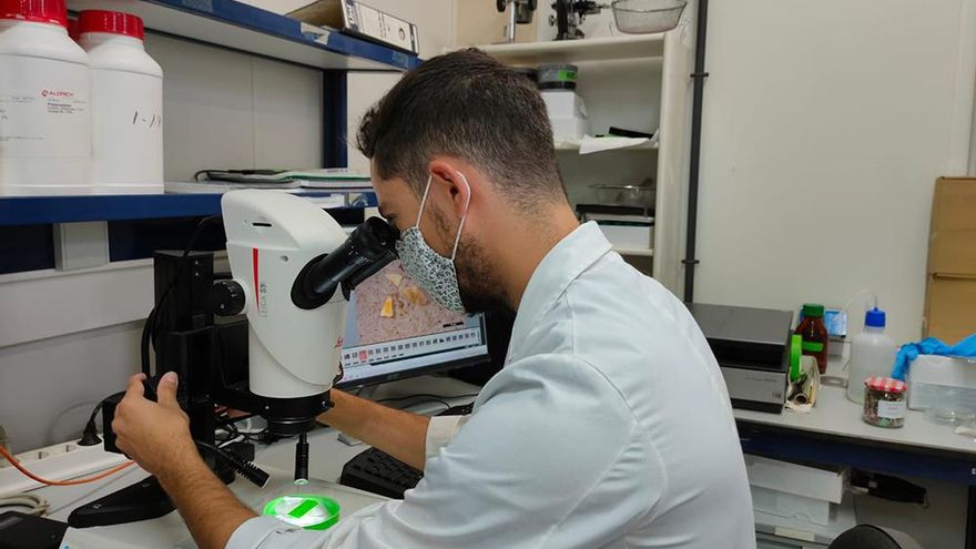 Ugwu Hernández en el laboratorio del grupo EOMAR en la facultad de Ciencias del Mar de la ULPGC.