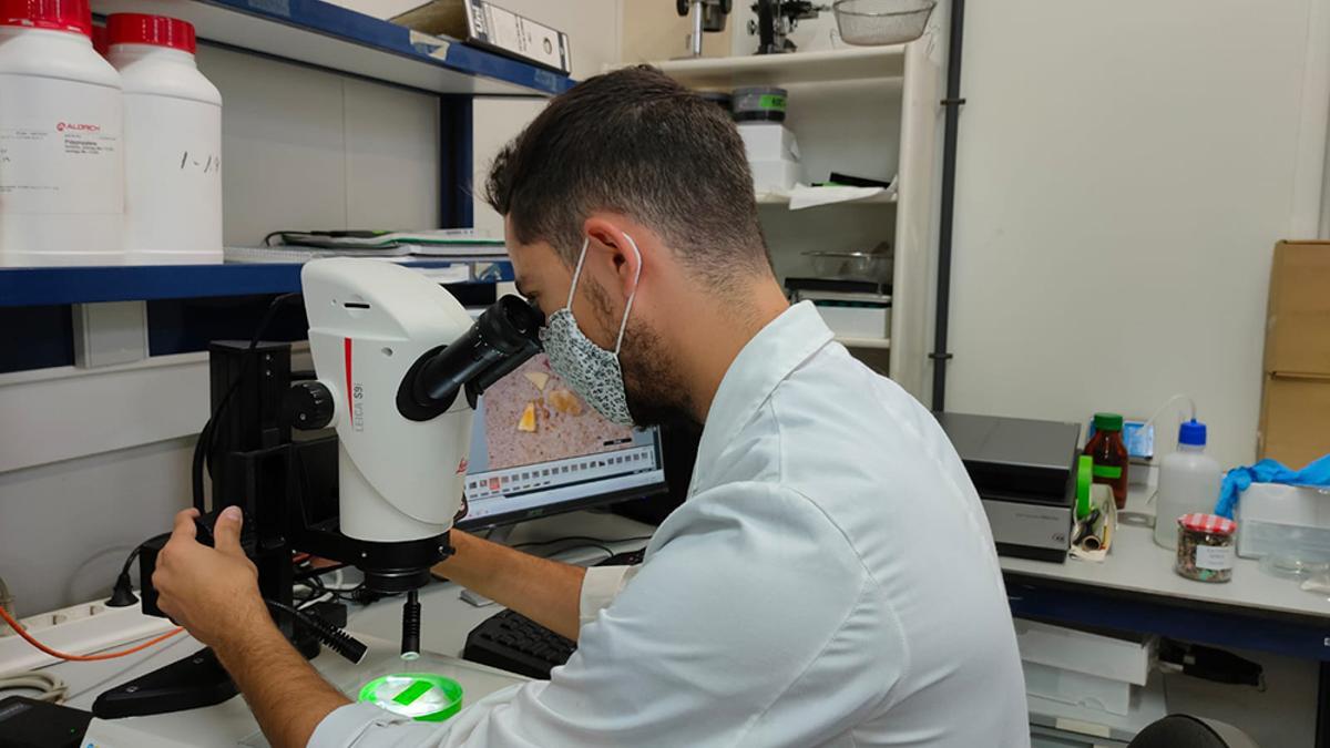 Ugwu Hernández en el laboratorio del grupo EOMAR en la facultad de Ciencias del Mar de la ULPGC.