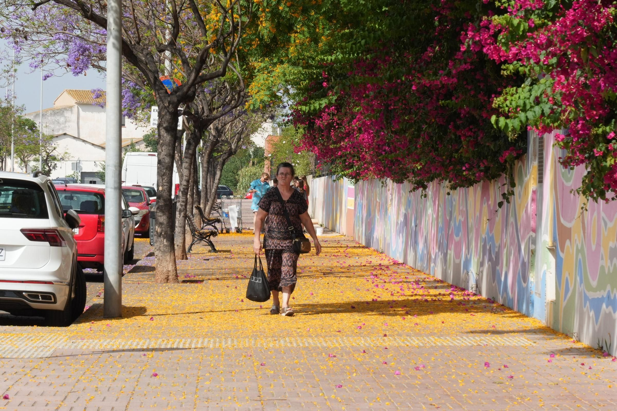 La floración tiñe las calles de Castelló