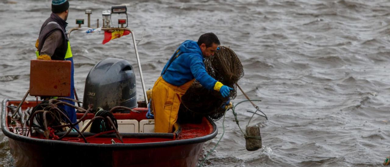 Los pescadores incian la campaña de la lamprea en Pontecesures. |   // IÑAKI ABELLA