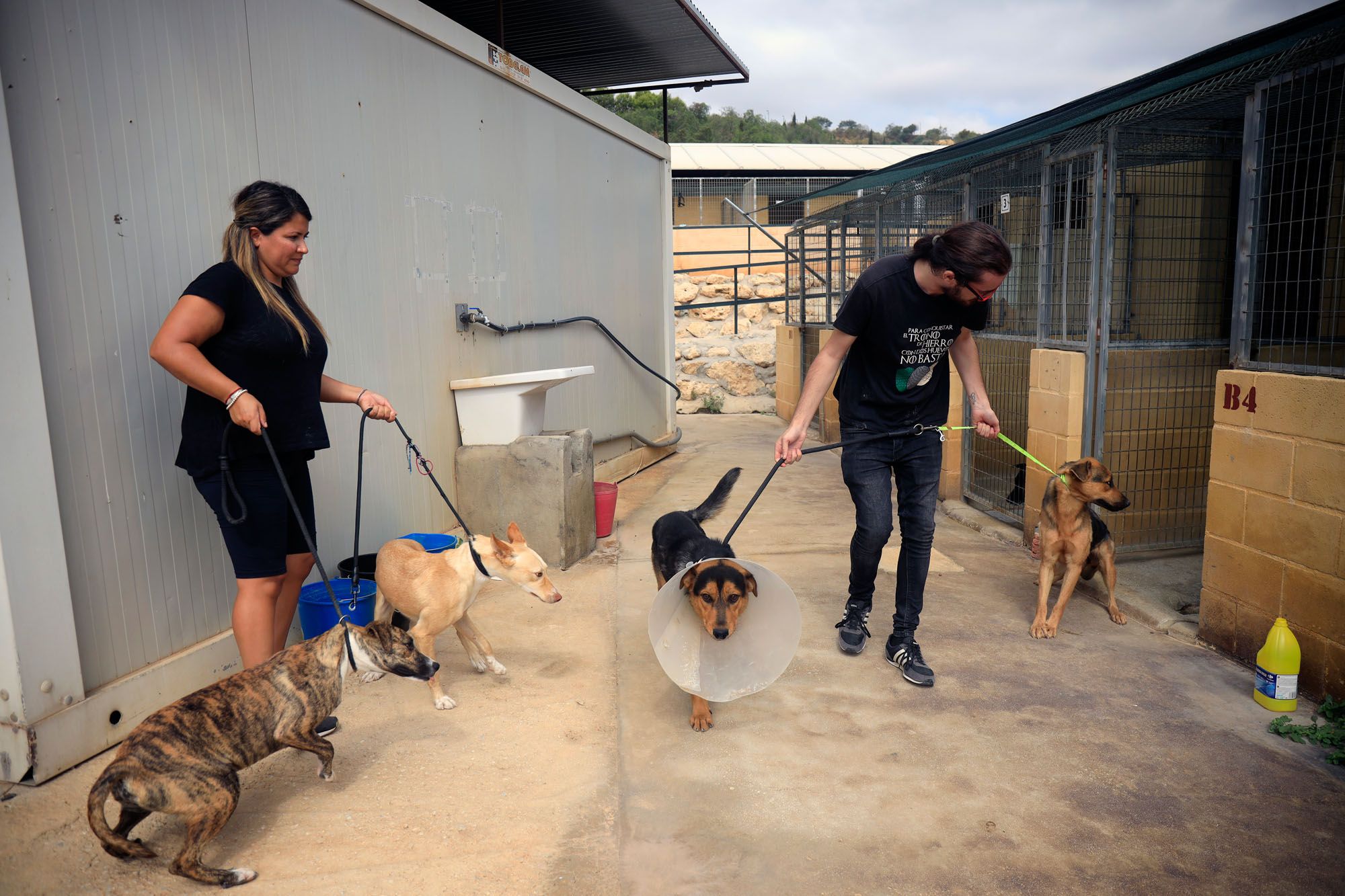 Estado de la Protectora de Animales de Málaga en julio de 2022