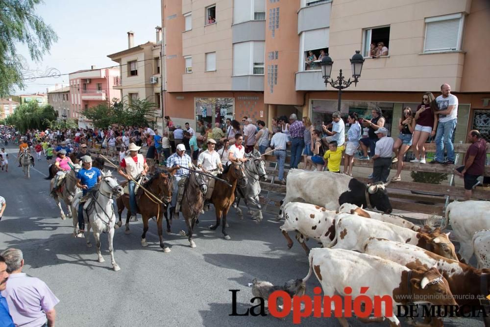 Séptimo encierro en Moratalla