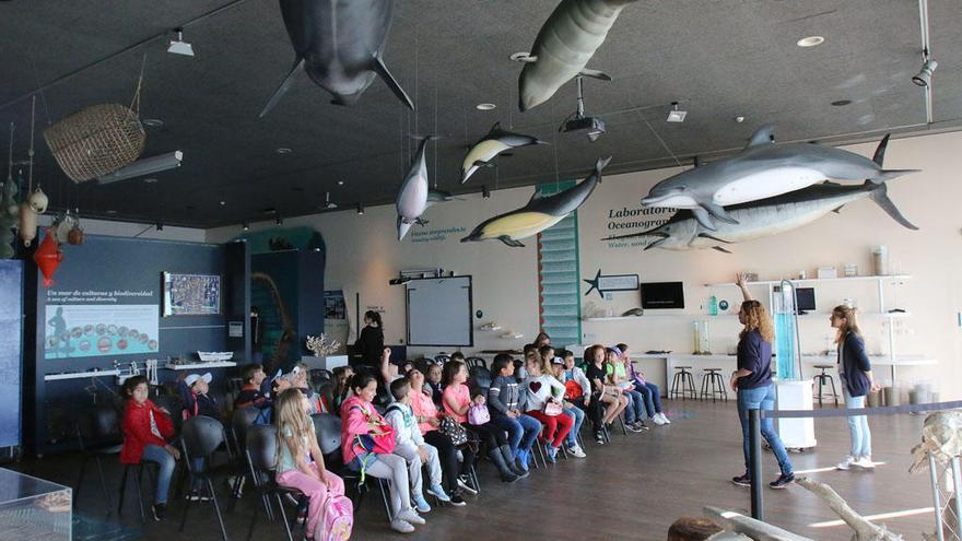 Actividades con escolares en el Museo Alborania.