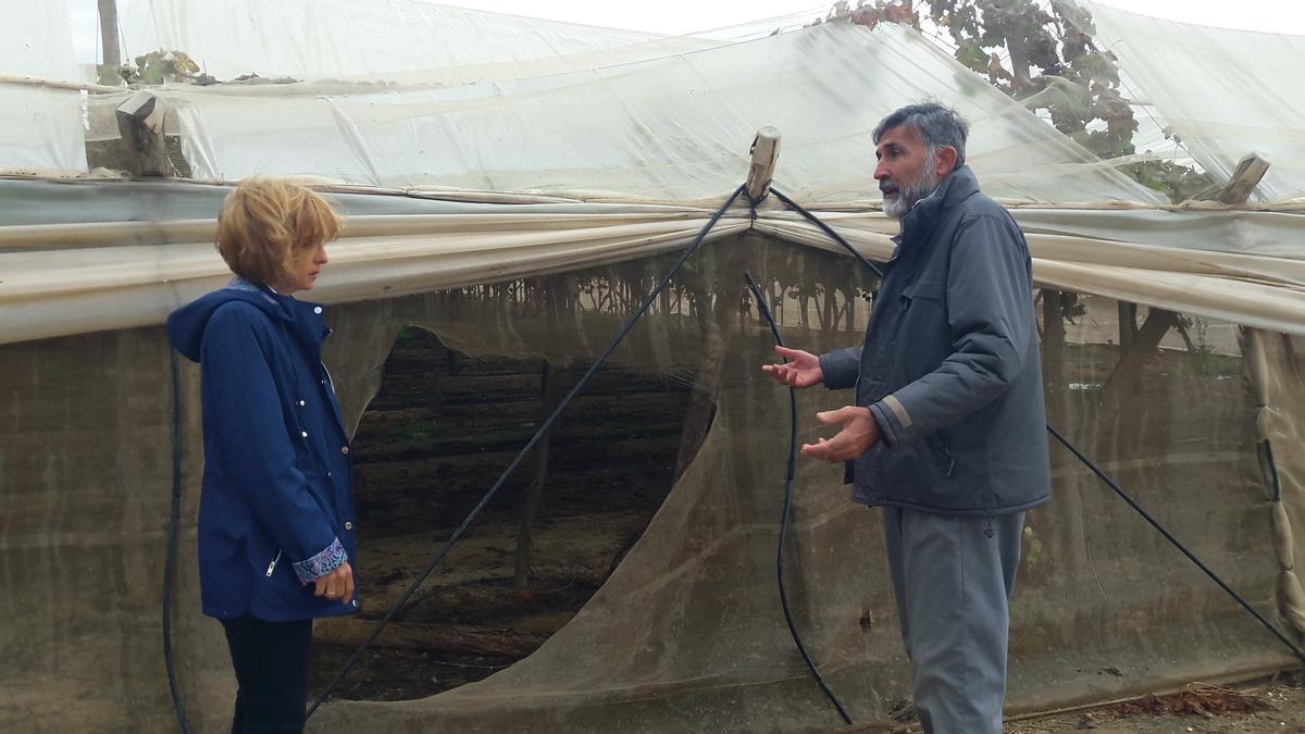 La edil popular María Belén Pérez con el dueño de la explotación agrícola junto al agujero que abrieron los ladrones para llevarse la uva.