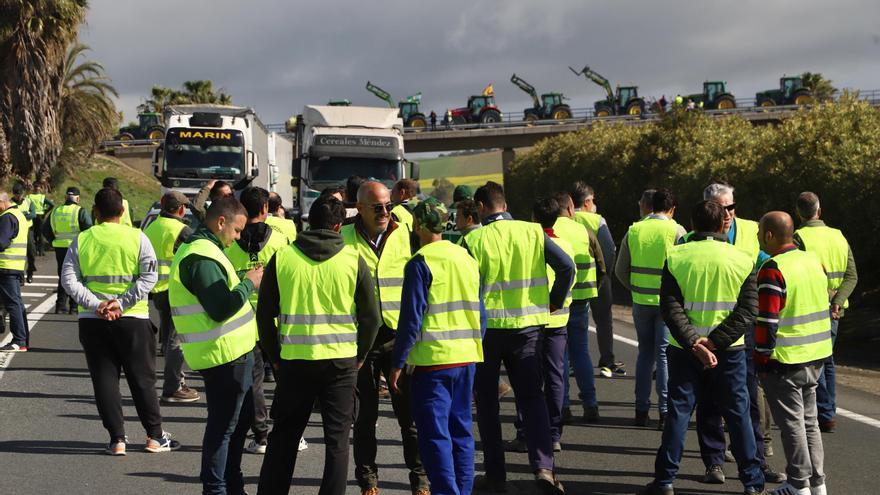 El sector afirma que el precio del suelo en Córdoba es alto y la rentabilidad, baja