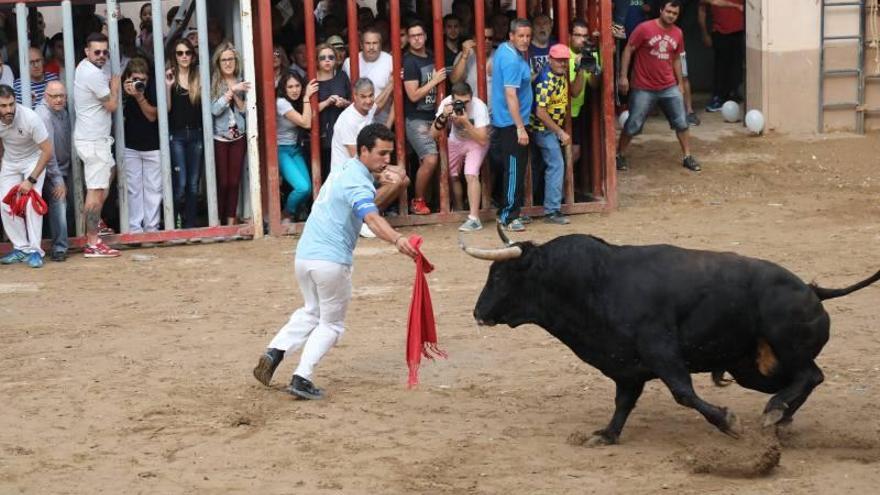 La resistencia de los dos toros prolonga la tarde taurina de Almassora y deja un herido