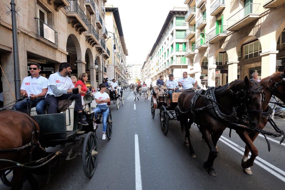 Miles de personas se manifiestan en Palma en defensa del mundo rural y ...