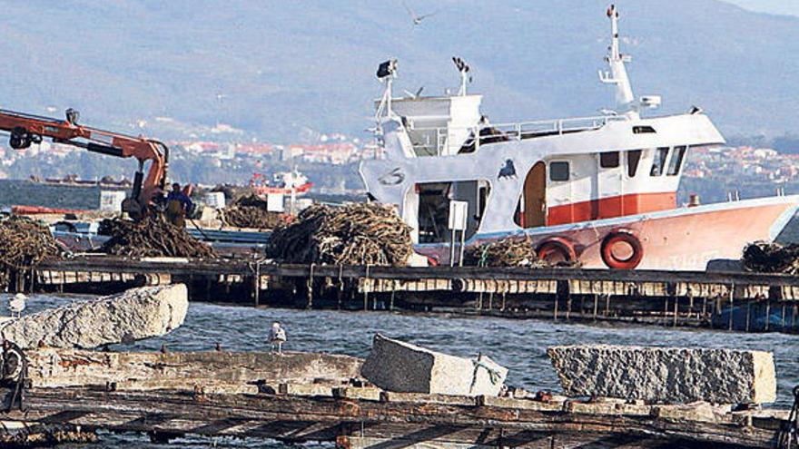 Trabajos en una batea de cultivo de mejillón en la ría de Arousa.  // J.L. Oubiña