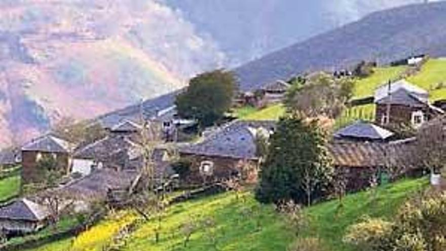 Algunas de las casas de Is. El tejo de Santa Coloma. Algunas de las vacas de Elías.