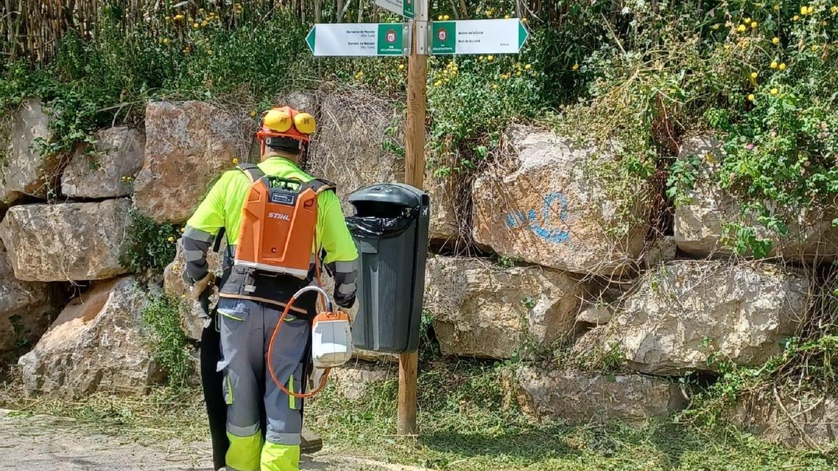Trabajos de desbroce del barranco de Mandor en l'Eliana.