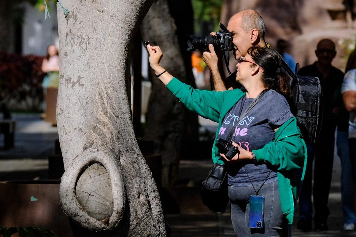 XIX Concurso de Fotografía Rápida de Mesa y López