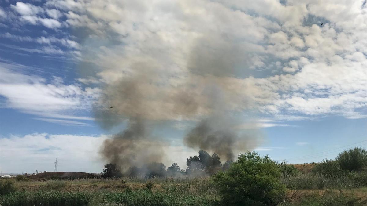 Sofocado un incendio de pastos junto a la barriada El Gordillo de Sevilla