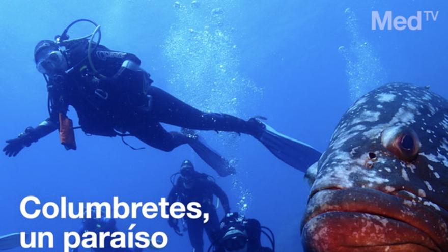 Columbretes, un paraíso submarino