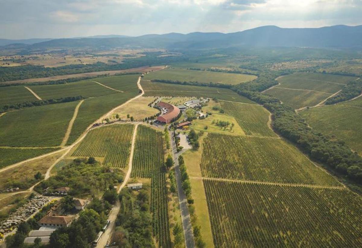 Das Weingut Krzysztof in Bulgarien