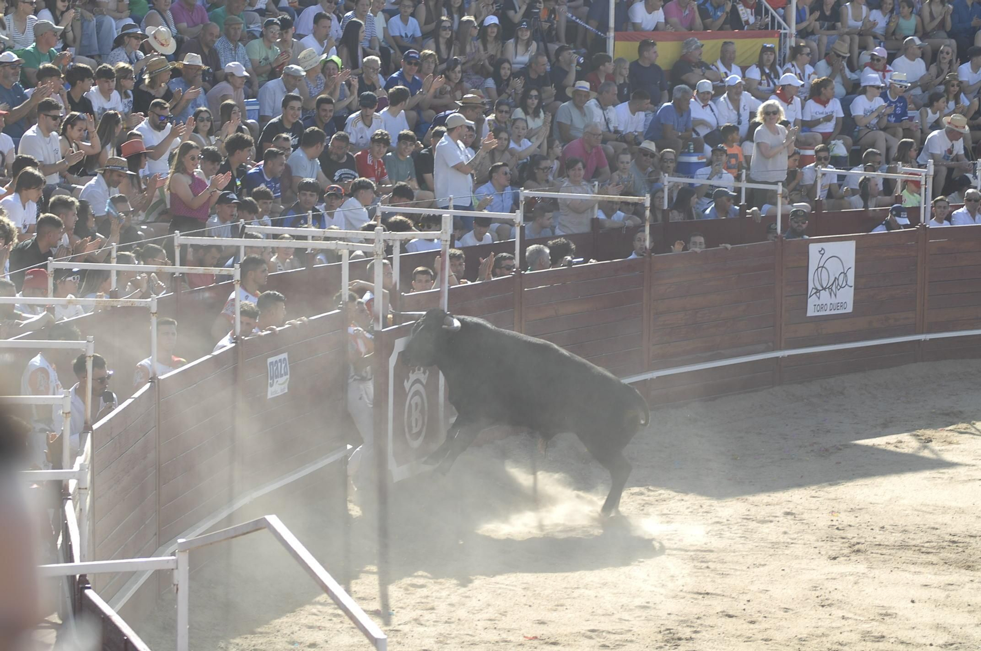 GALERÍA | Unos cuantos cortes de los arriesgados en Benavente