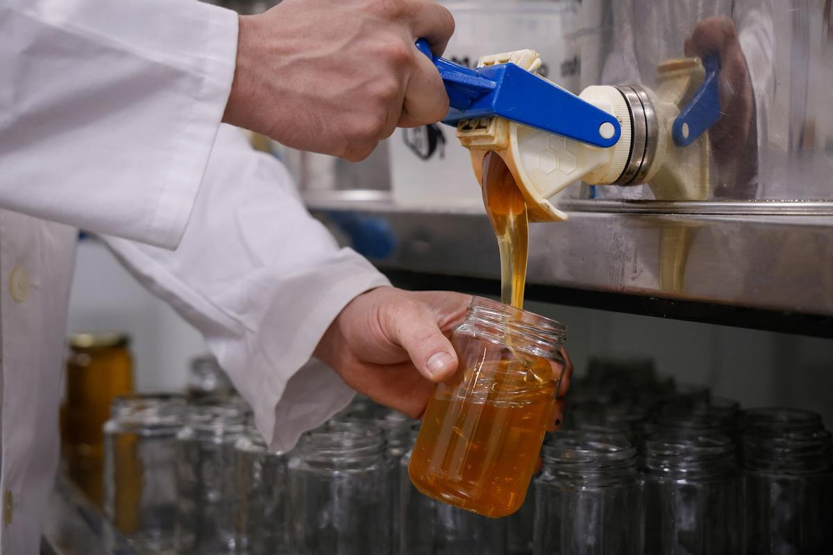 Producción de Miel en Montoro.