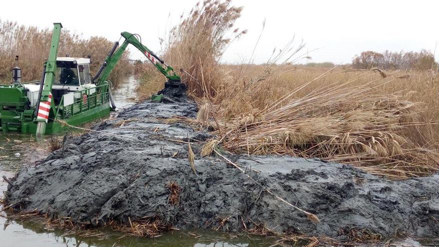 Trabajos en los canales de l&#039;Albufera.